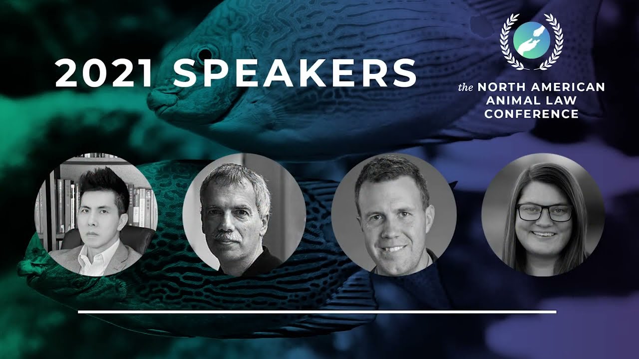 Overview: 2021 North American Animal Law Conference
