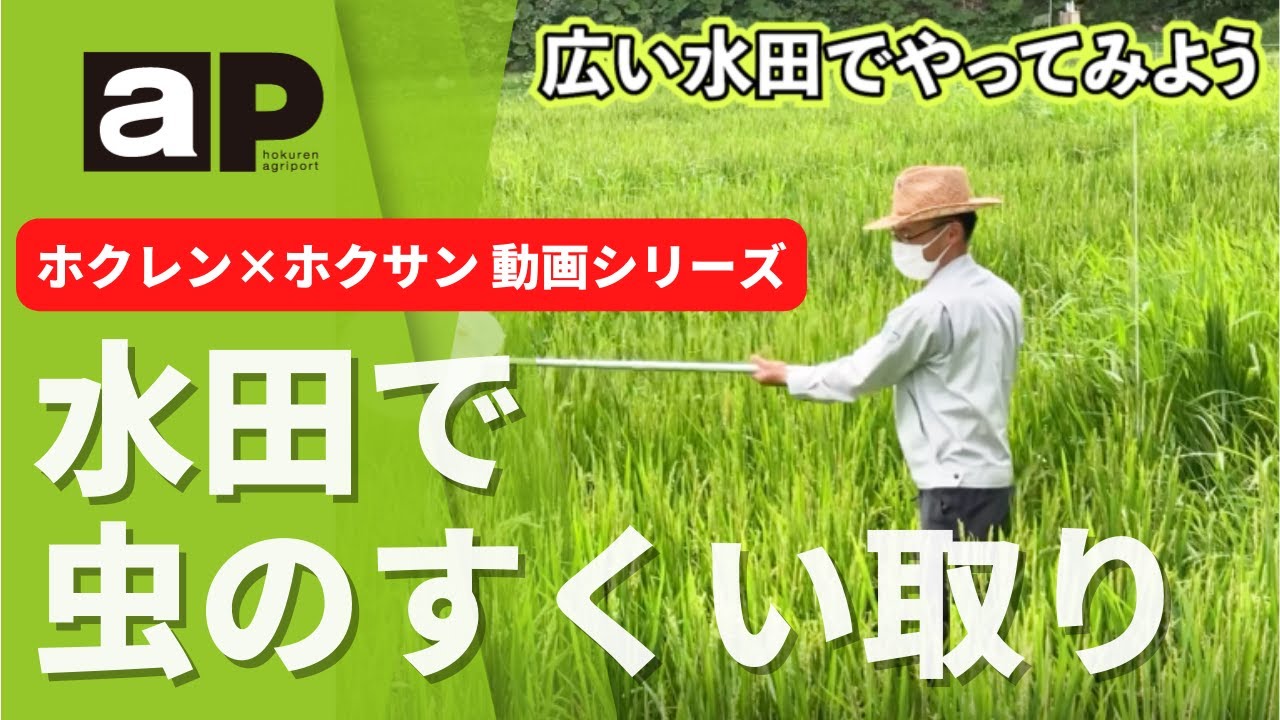 【技術普及課】ホクホクちゃんねる「水田ですくい取りを実際にやってみた」