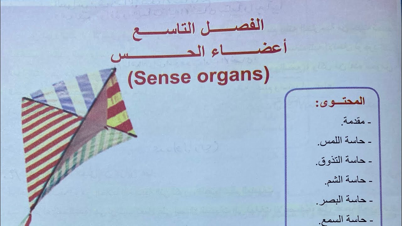 أحياء الثالث المتوسط 2026/ الفصل التاسع / اعضاء الحس / المحاضرة 3 مع حل اسئلة الفصل