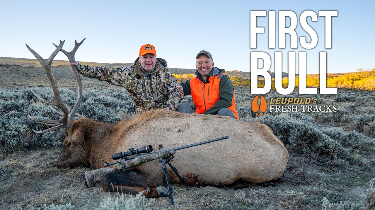 A GAME OF CHECKERS | Bull Elk DOWN #FreshTracks