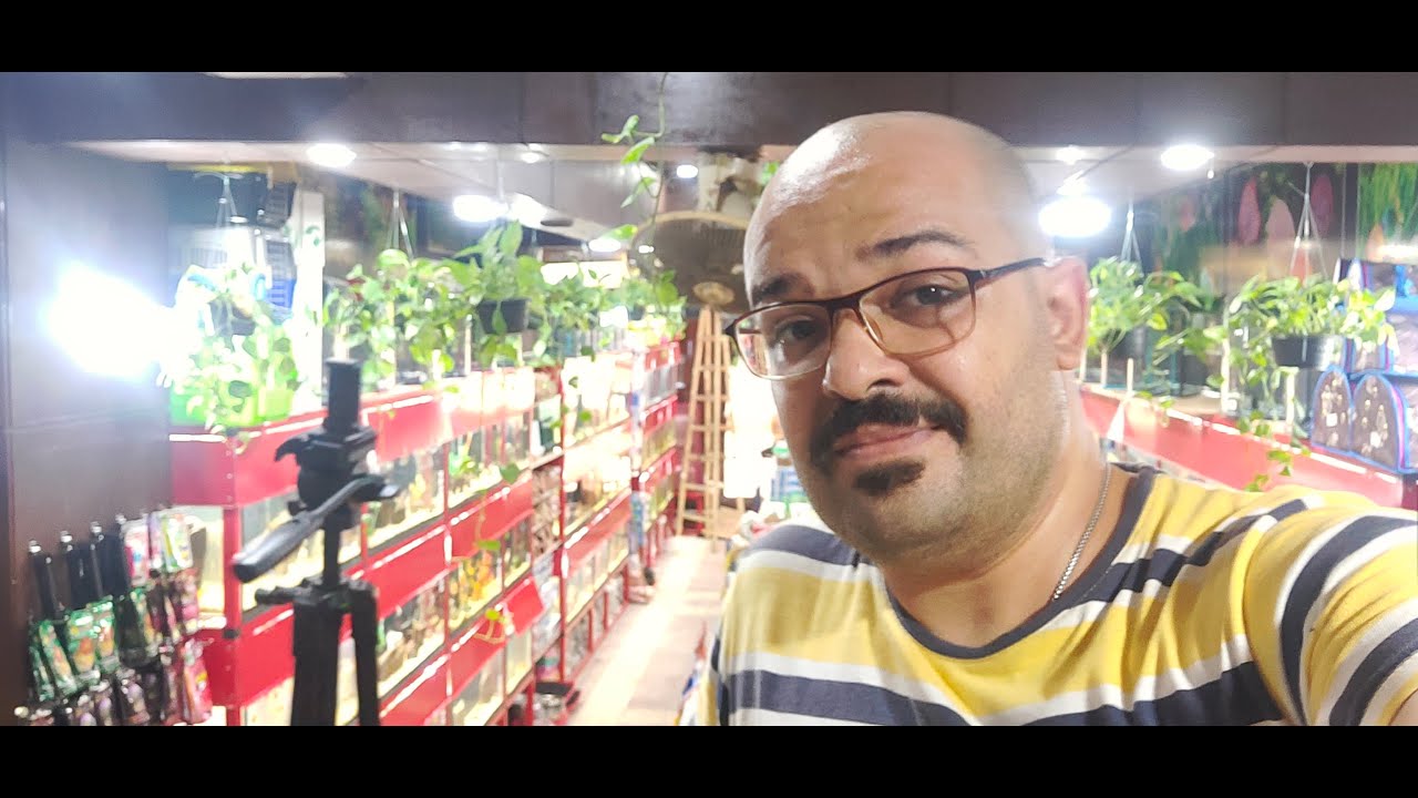 اكبر محل اسماك زينة في الاسكندرية - Youssef pet Store تربية اسماك الزينة