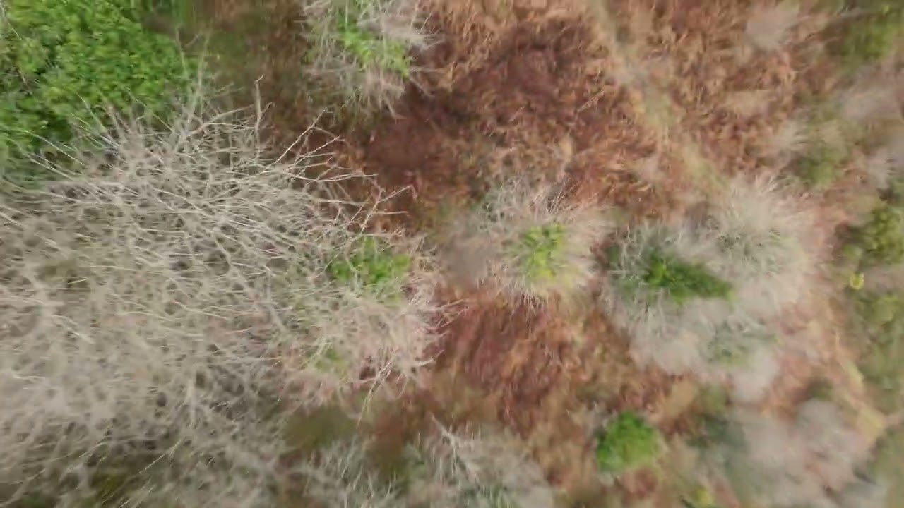 Near Clearbrook Plymouth UK #fpvfreestyle #fpv #drone #quadcopter #onepack #nostab 