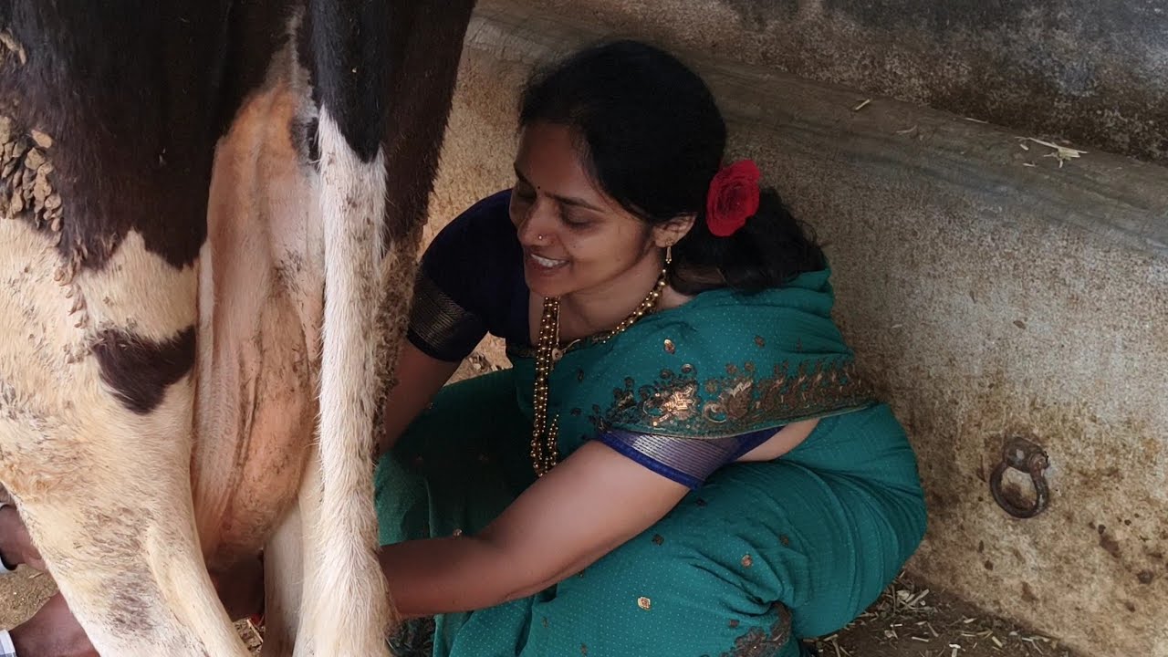 #cowfarming   me kay hua !!! Bullet car riding 😱😱