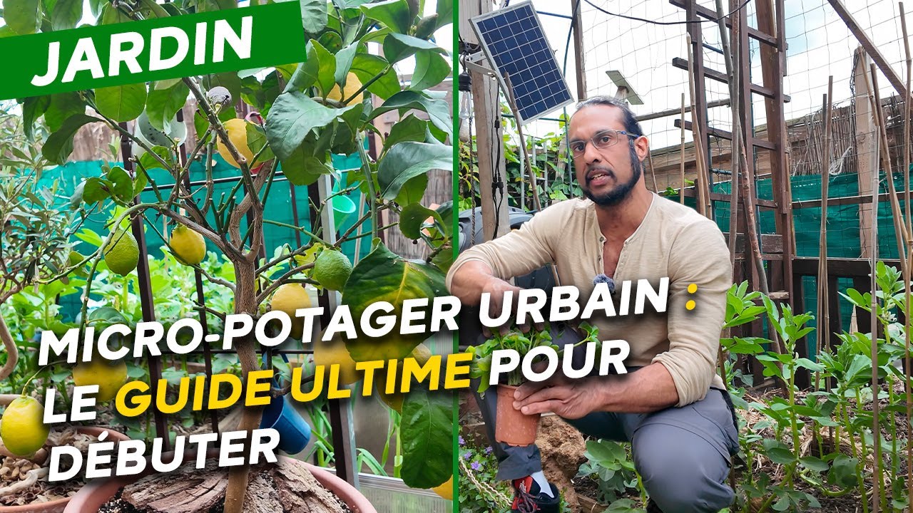 Micro-potager urbain : Irfaan vous d&eacute;voile tous ses secrets pour une r&eacute;colte abondante !