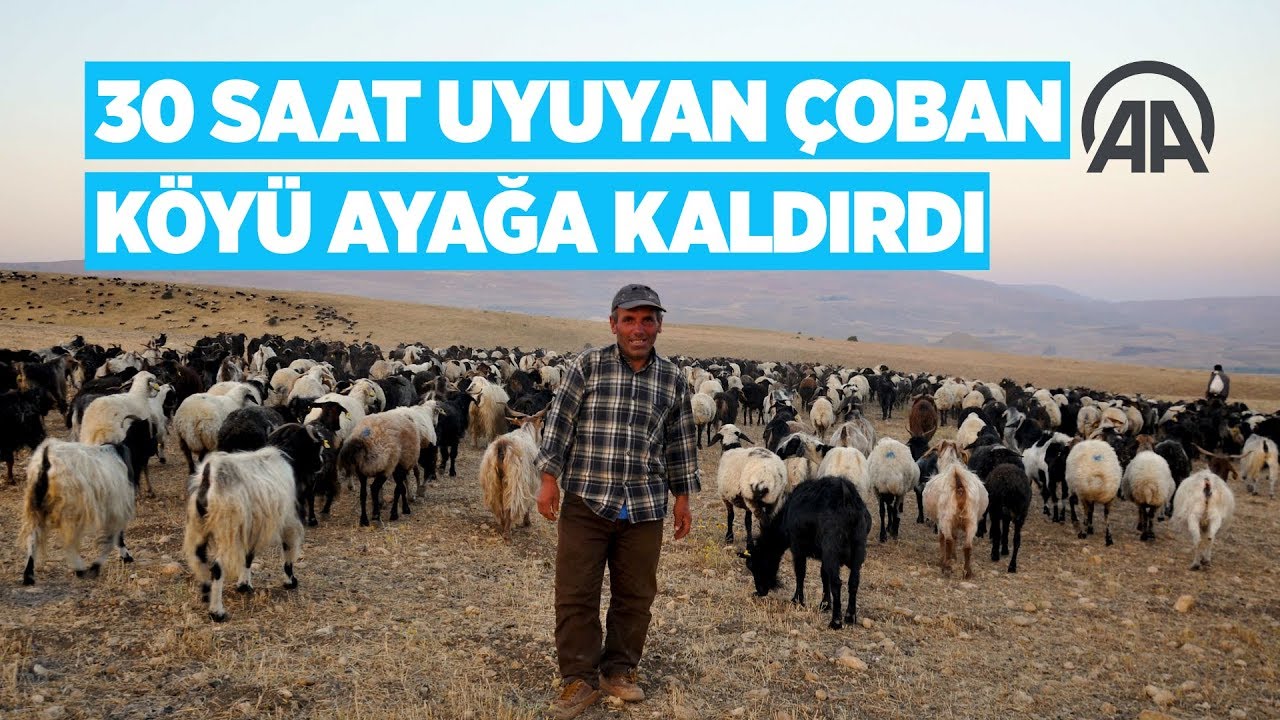 30 saat uyuyan çoban köyü ayağa kaldırdı