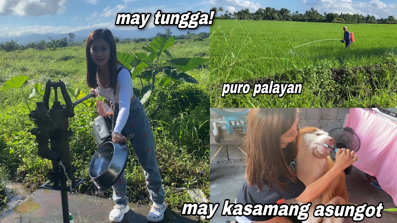 Finally Back In MINDORO! | Vlogmas 2021 | Sai Datinguinoo