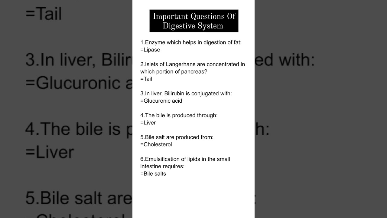 Important Questions Of Digestive System 
