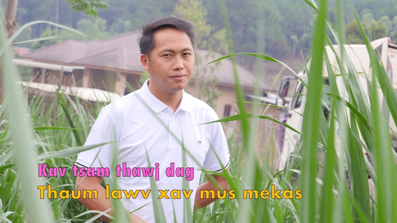 Kav tsam thawj dag thaum lawv xav mus mekas 3/31/2024