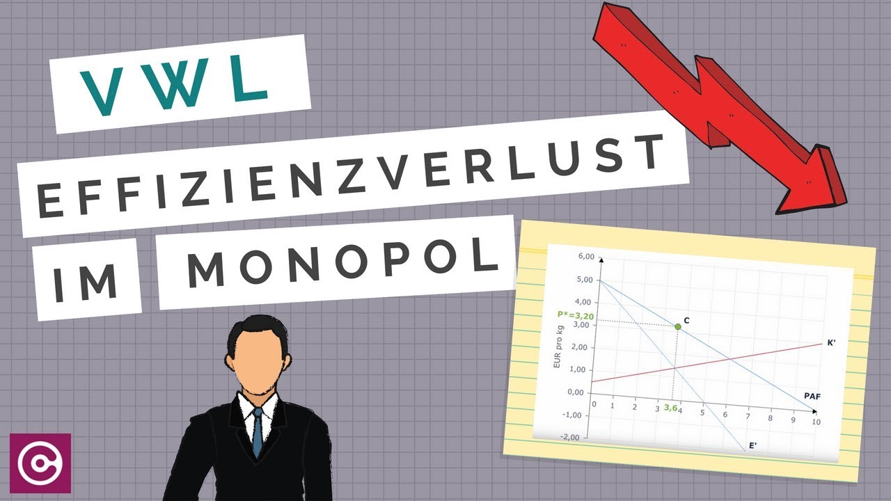 Volkswirtschaftslehre - Effizienzverlust im Monopol