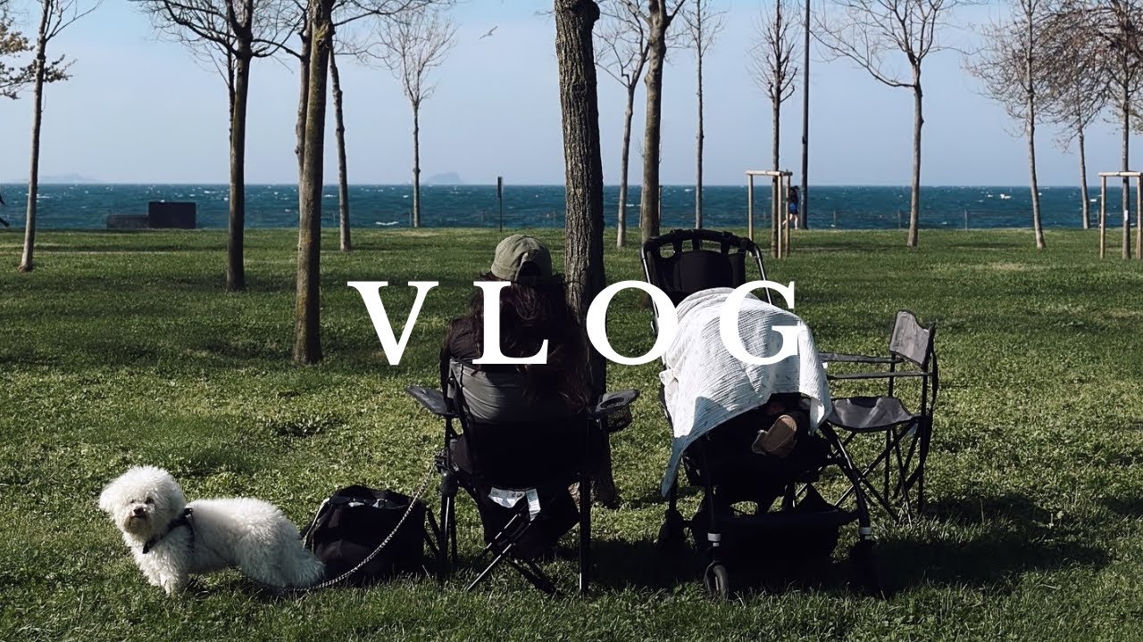 VLOG. Bir bebek, bir köpek ve bir pazar günü. 10. ay versiyonu.