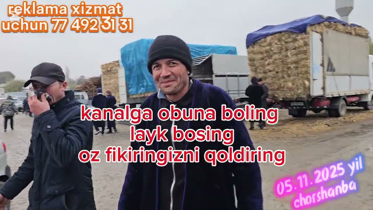 Zarbdor mol bozori