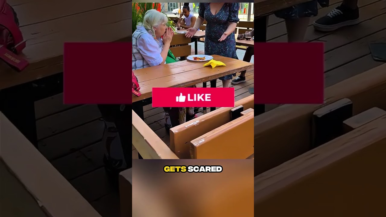 Добрый незнакомец превратил остатки пиццы в радостный совместный обед! #доброта