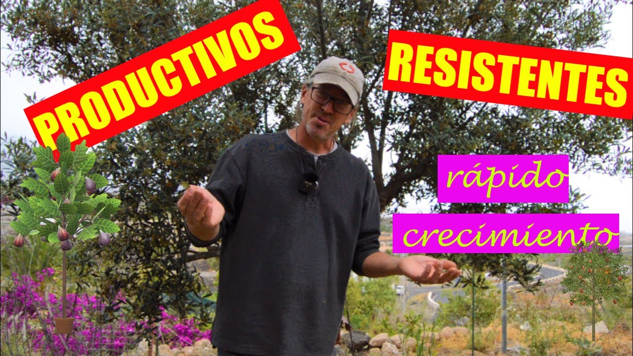 9 árboles FRUTALES🍊de CRECIMIENTO RÁPIDO resistentes para CLIMA SECO (y arbustos). Bosque comestible