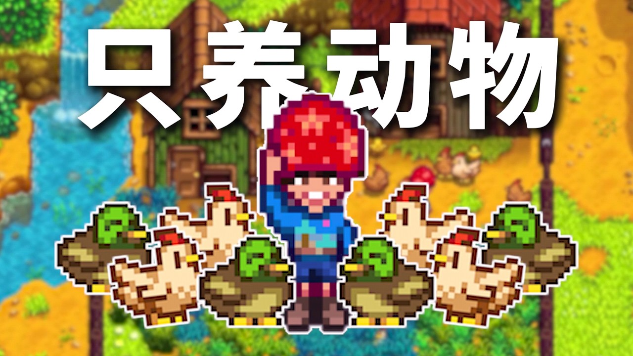 只靠飼養動物賺到100萬！升級高級雞舍，自動化飼養家禽~ 第五期 #星露谷物語
