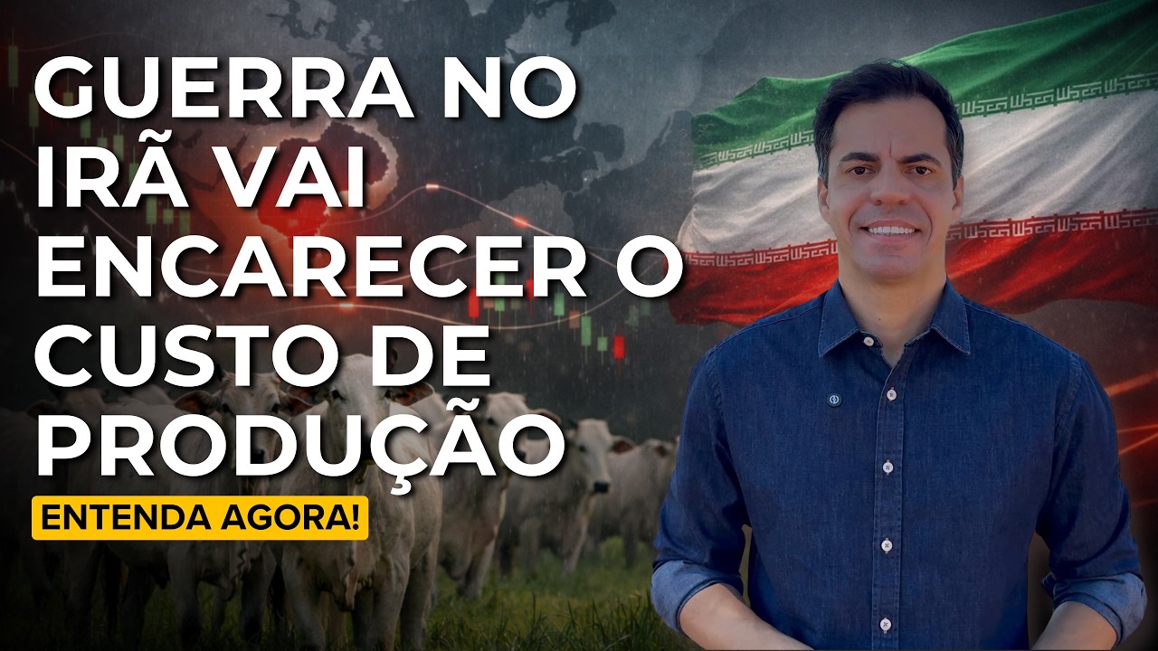 BEZERRO PASSOU DE R$3.000 — É HORA DE VENDER OU SEGURAR?