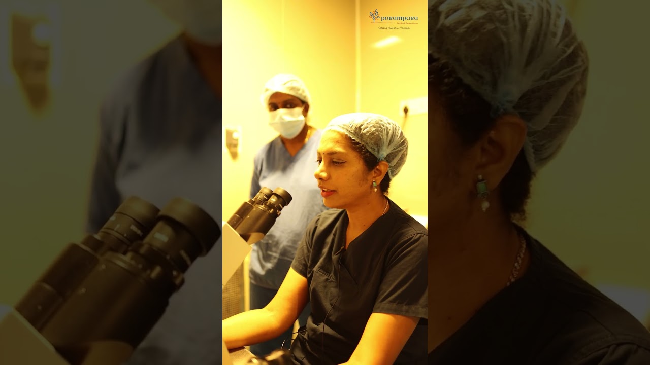 IVF Embryo Transfer: Day 3 vs Day 5 – Ethu Best? 