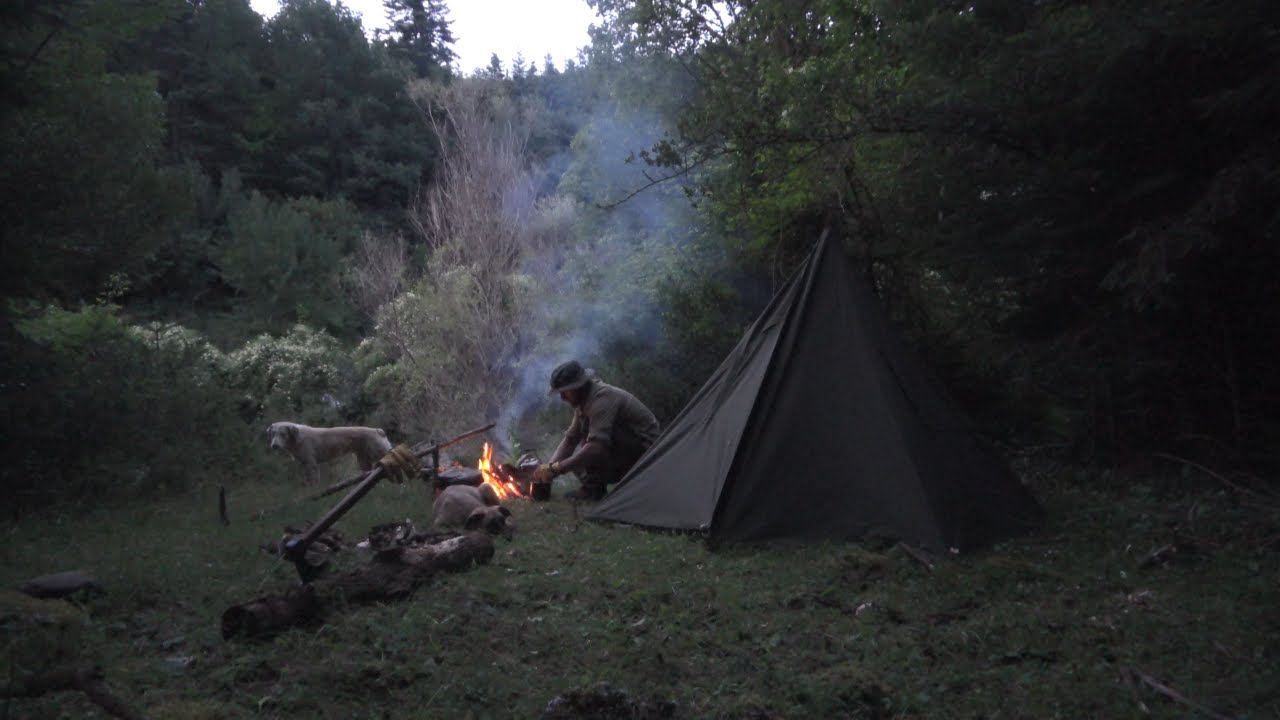 Overnight: In the wilderness With 2 Dogs Bonny and her friend. Cooking over the open fire etc.