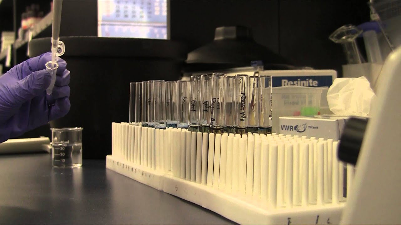 Stage 2: Measurement of Protein Concentrations with the Bradford Assay