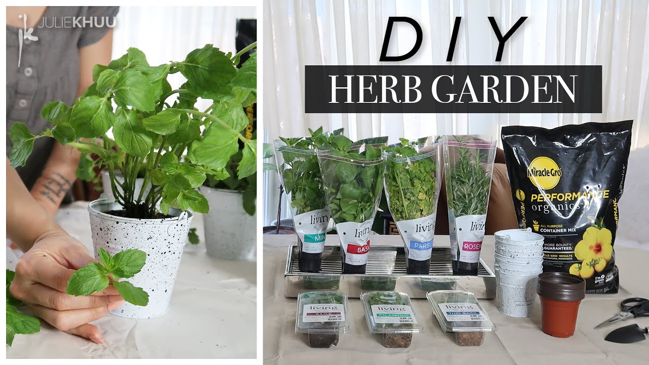 Beginner's Guide To Creating Your Own Indoor Herb Garden (Cheap and Easy!)