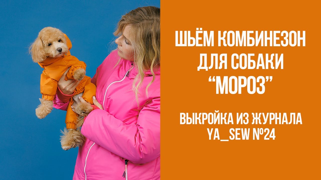 Комбинезон для собаки 