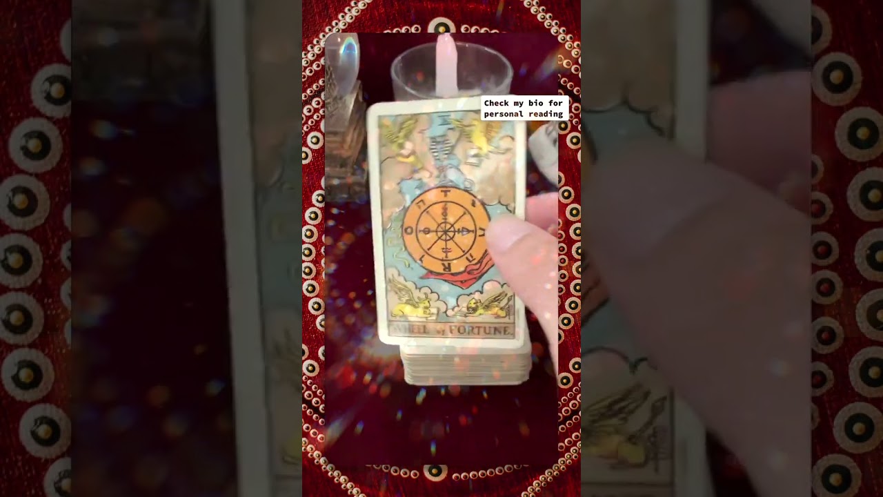 You are about to be in a solid long term relationship#relationshiptarot #relationships #tarotmessage