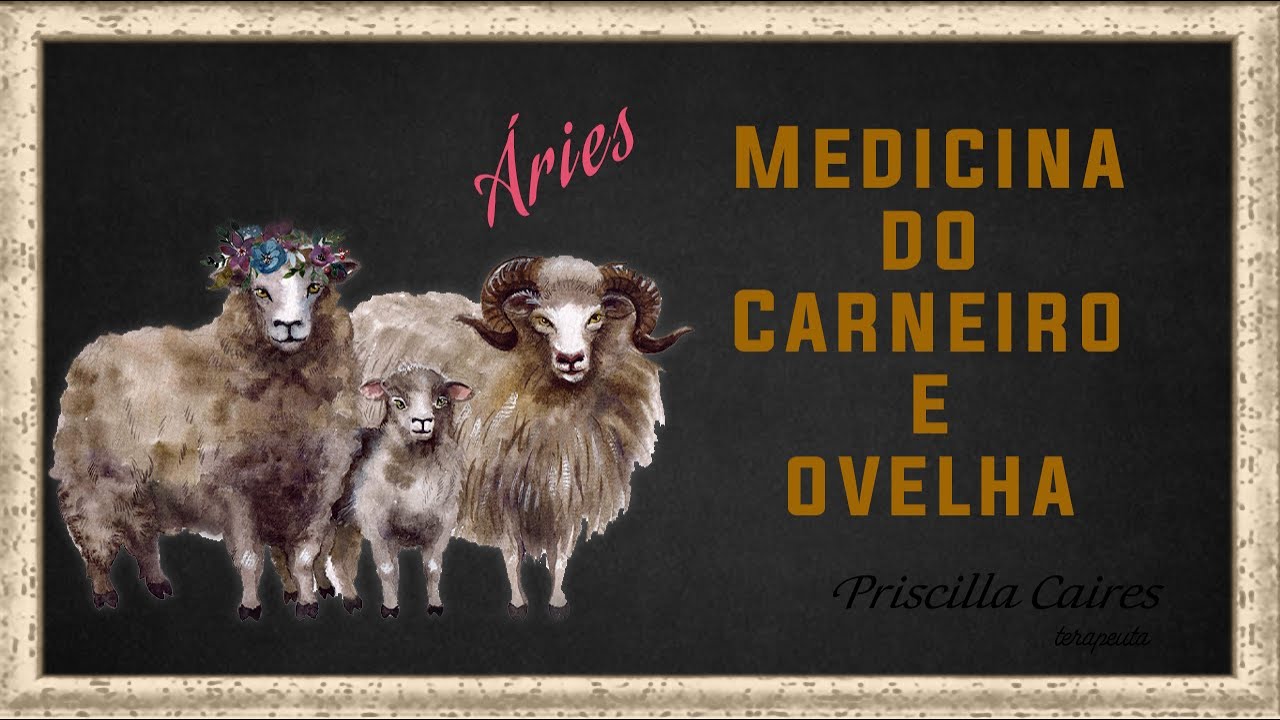 Medicina e medita&ccedil;&atilde;o do arqu&eacute;tipo Animal de poder Carneiro, Aries e Ovelha