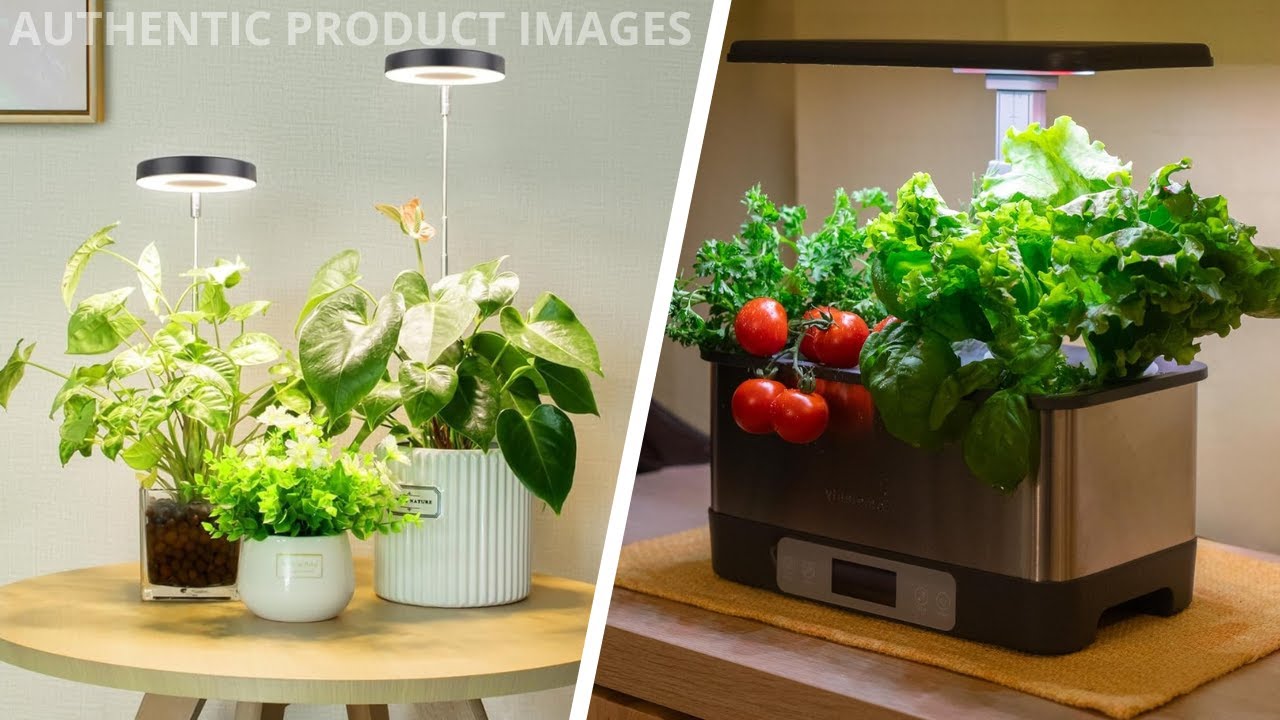 Gadgets That Help You Grow Your Own Food at Home!