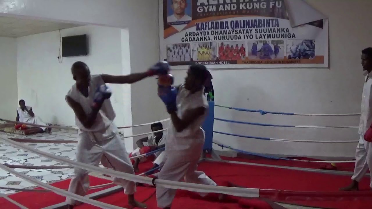 alkhayr gym and kung fu