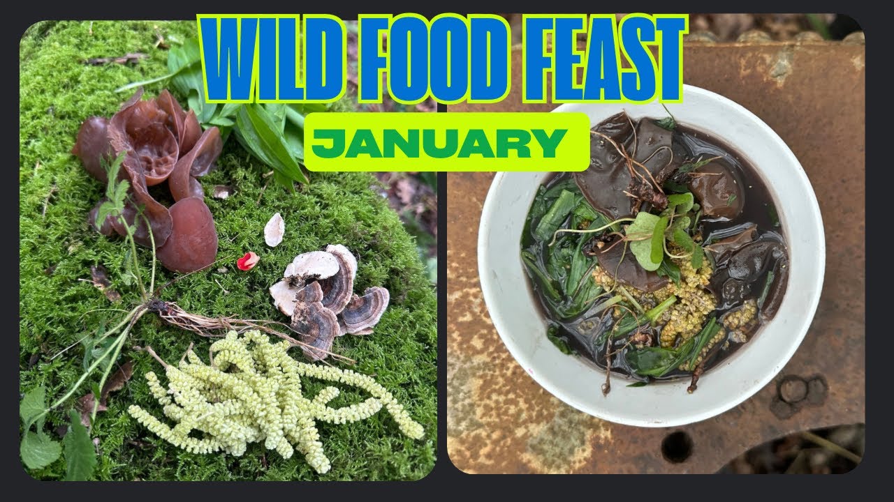 How to Forage a 100% Wild Meal in January 