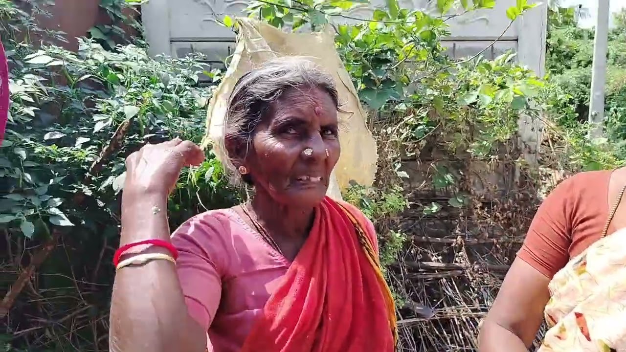 💗எங்க பெரியம்மா வீட்டை சுற்றி பார்க்கலாம் // Home Tour in Tamil