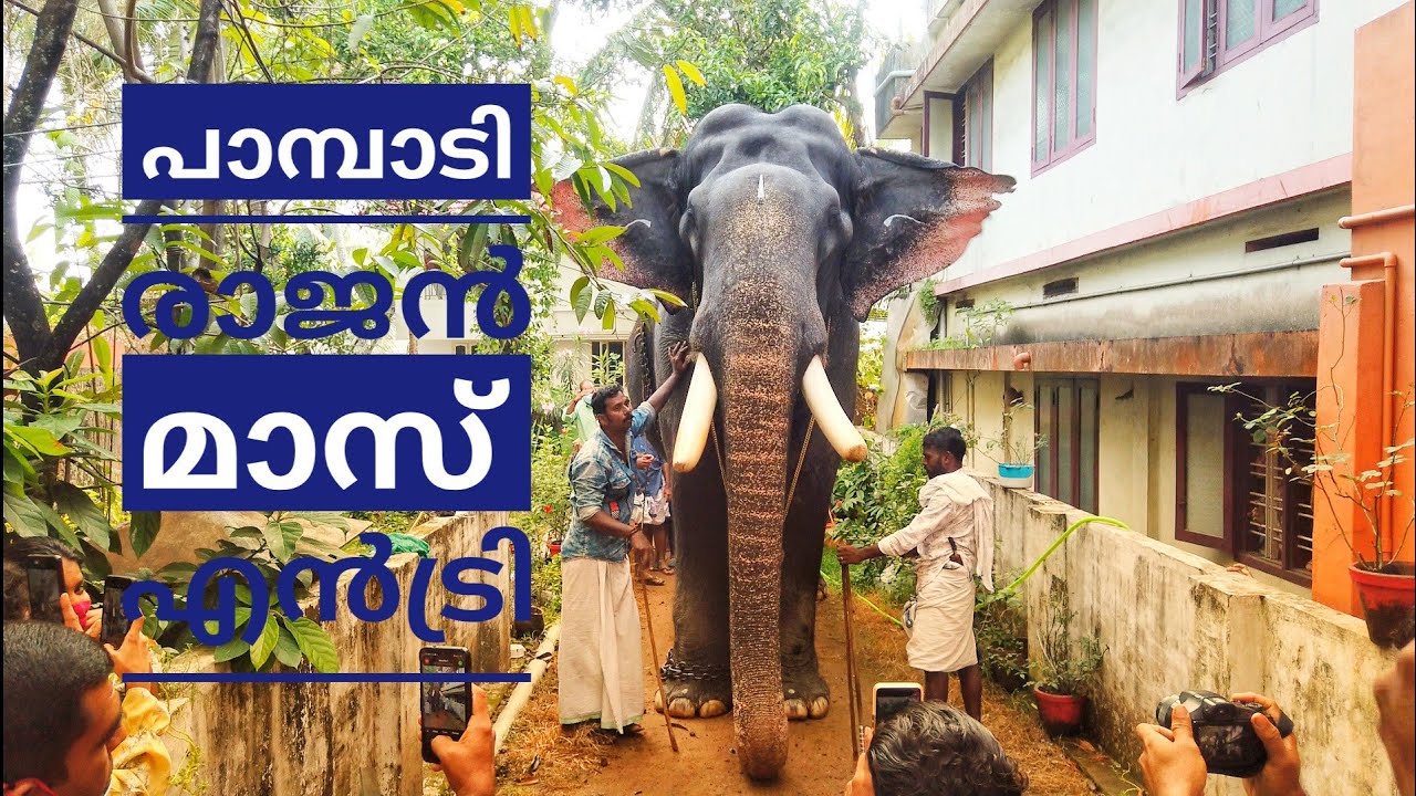 Pampadi Rajan  MASS Entry @ KOCHI 2022