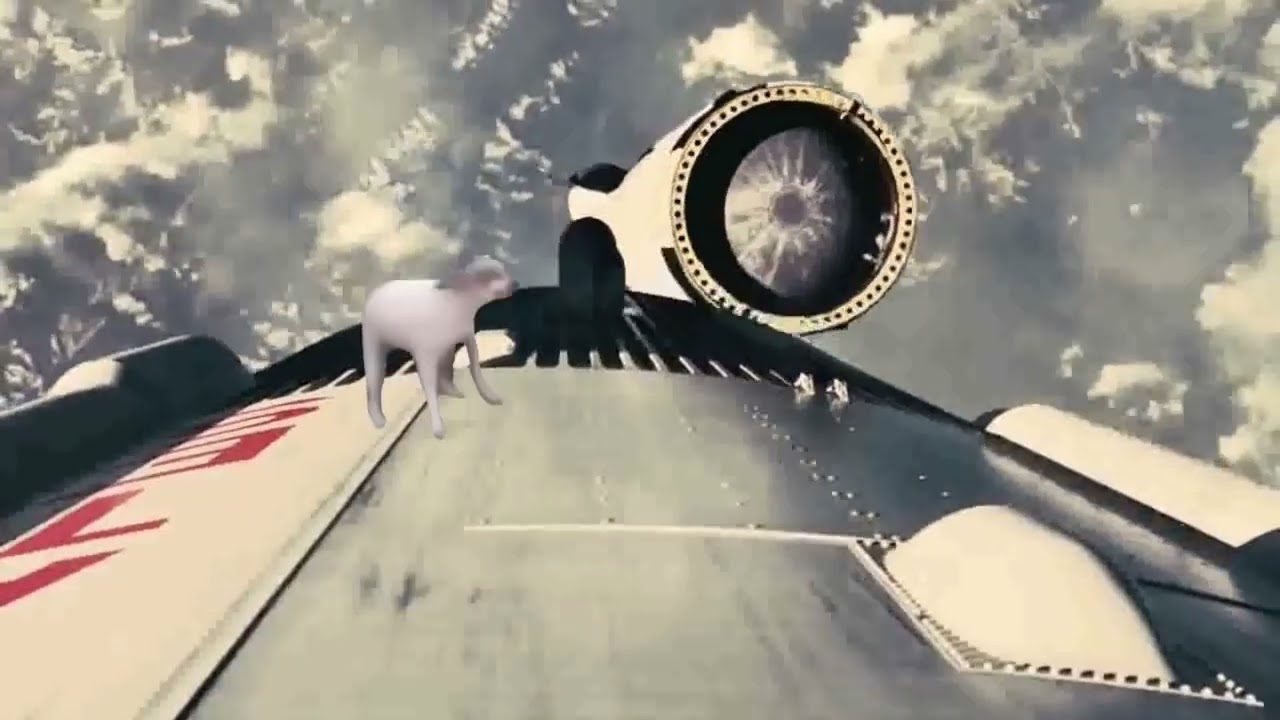 Rabe Shitpost