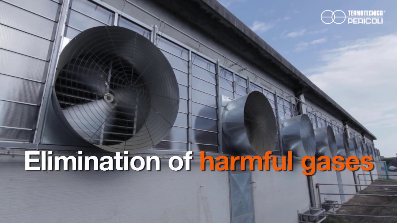 Case Study: Cooling cross-ventilation system in dairy cows