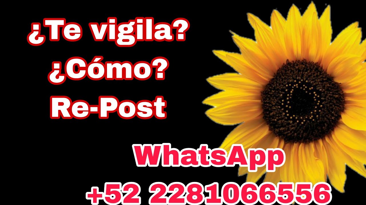 🤔👀👁️ ¿Te vigila? ¿Cómo? 👁️👀🤔