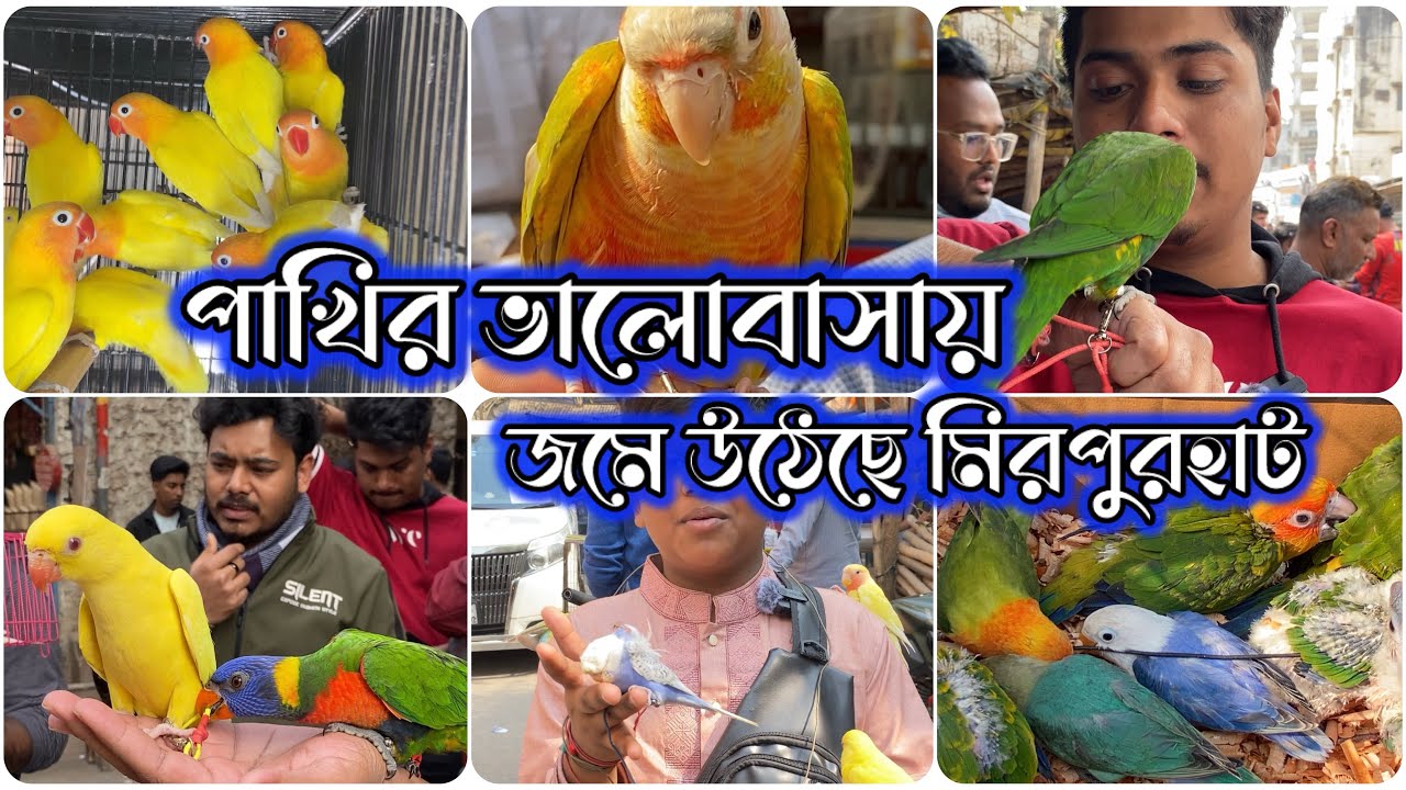পাখির ভালোবাসায় জমে উঠেছে মিরপুর পাখির হাট