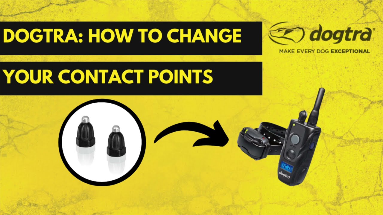 DOGTRA: HOW TO CHANGE YOUR REMOTE COLLAR'S CONTACT POINTS