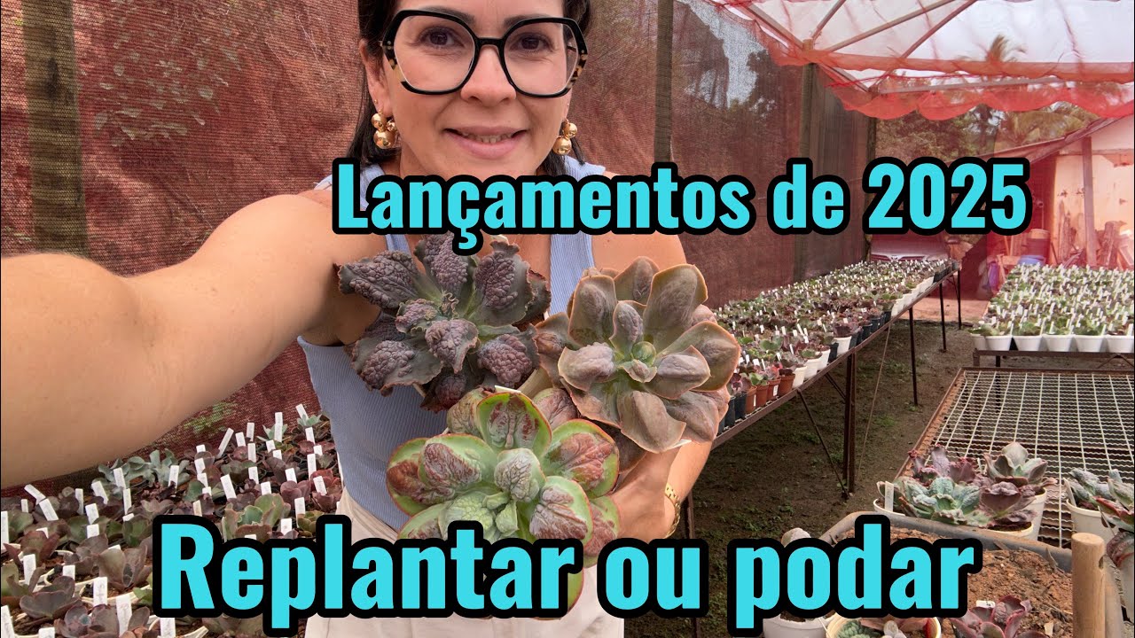 Quando precisamos decidir entre replantar ou podar…