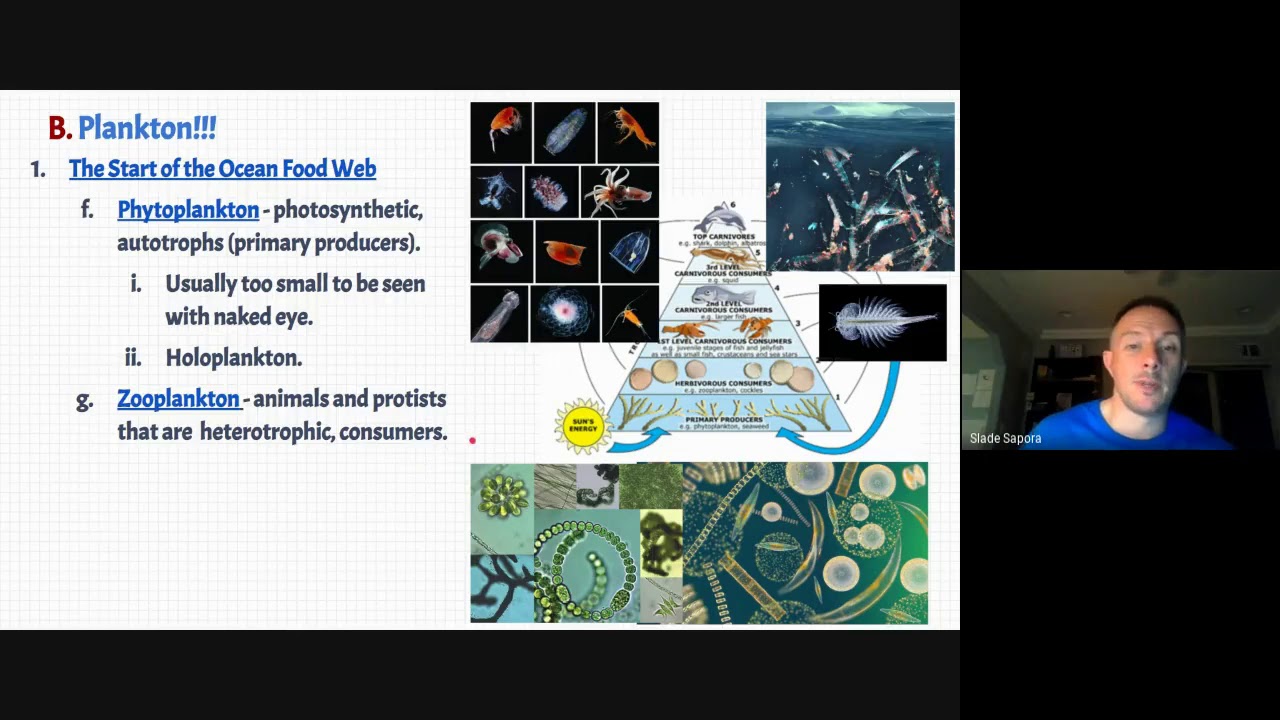 Plankton Lecture Marine Bio