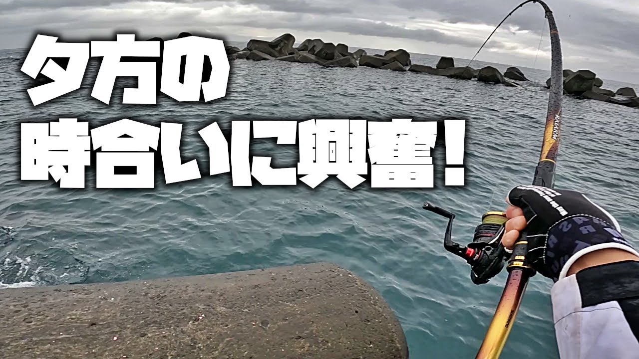 夕方の連発するアタリに興奮が止まりませんでした！【黒鯛】【メジナ】【釣武者】