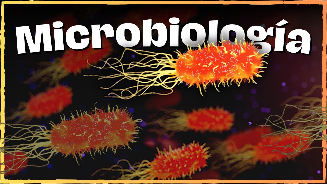 🦠 ¿QUÉ es la MICROBIOLOGÍA? | RAMAS, IMPORTANCIA e HISTORIA | ✅ RESUMEN CORTO y COMPLETO
