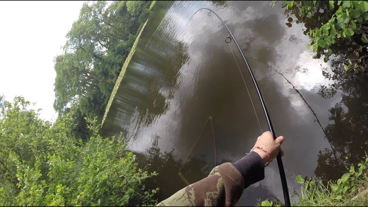 Carp Fishing - Bankside Basics - Your Swim