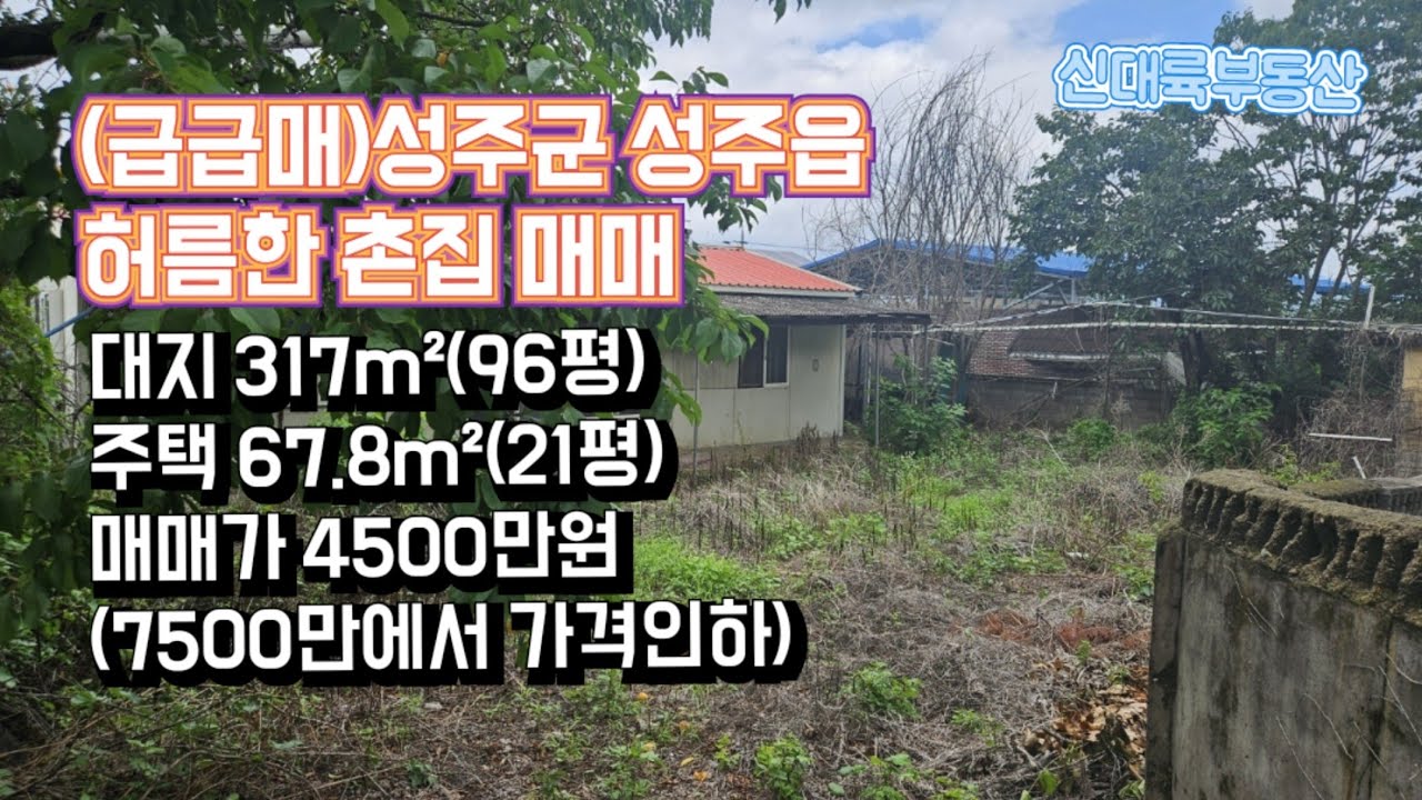 매물#360)(급급매)성주군 성주읍 허름한 촌집 매매 대지 317m²(96평) 주택 67.8m²(21평) 매매가 4500만원(7500만에서 가격인하)_성주촌집매매.성주땅매매