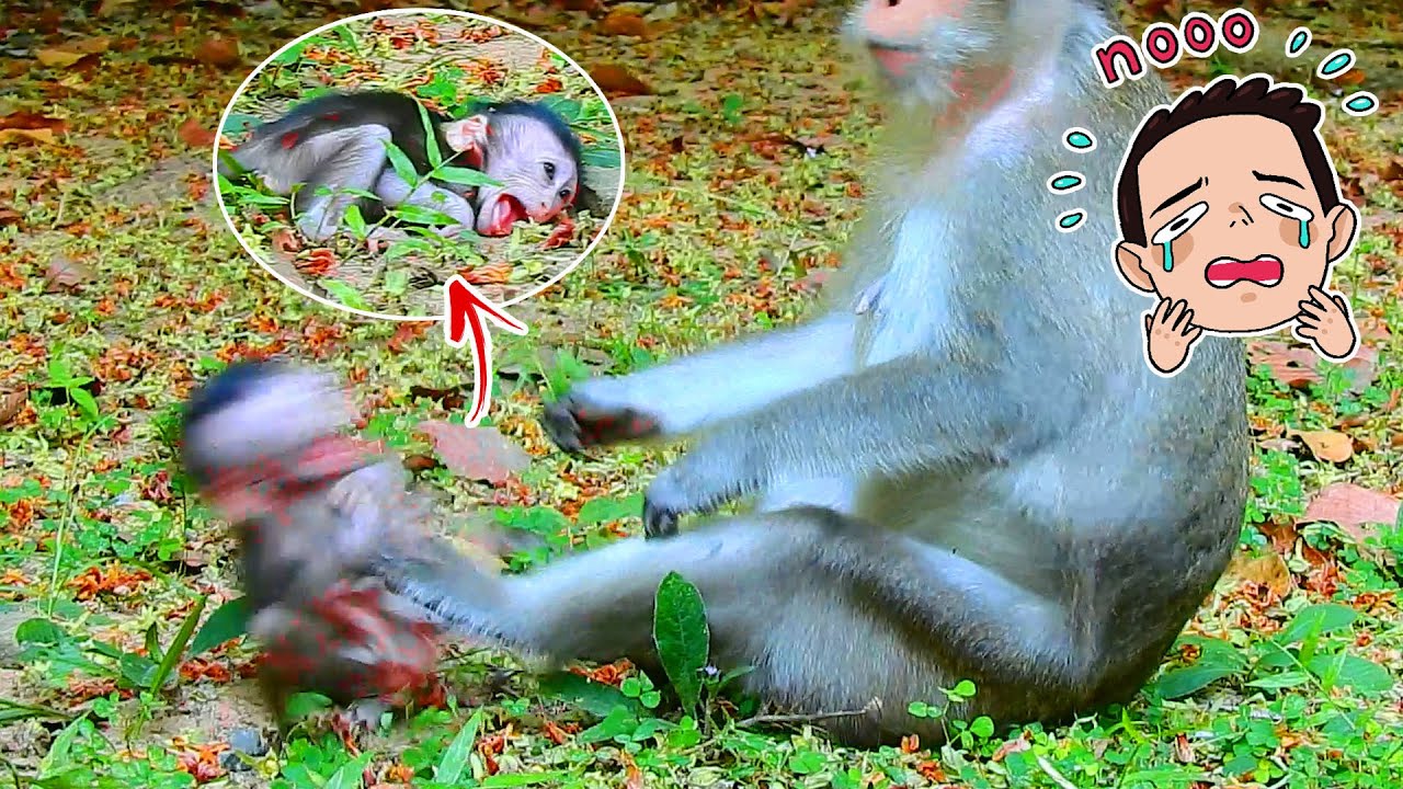 Millions sad clip ANNA kicked baby Ara like ball till convulsion