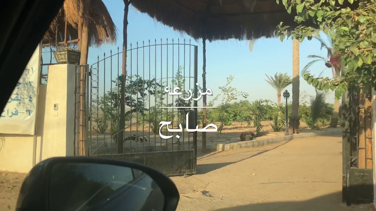 مزرعة صابح (القاهره - جمعية احمد عرابي)
