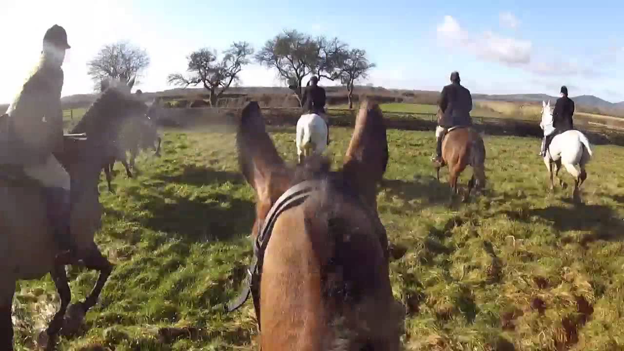The Ledbury Hunt - Manor Farm Meet 2014 - Jumping Rails and Hedges in the Sunshine
