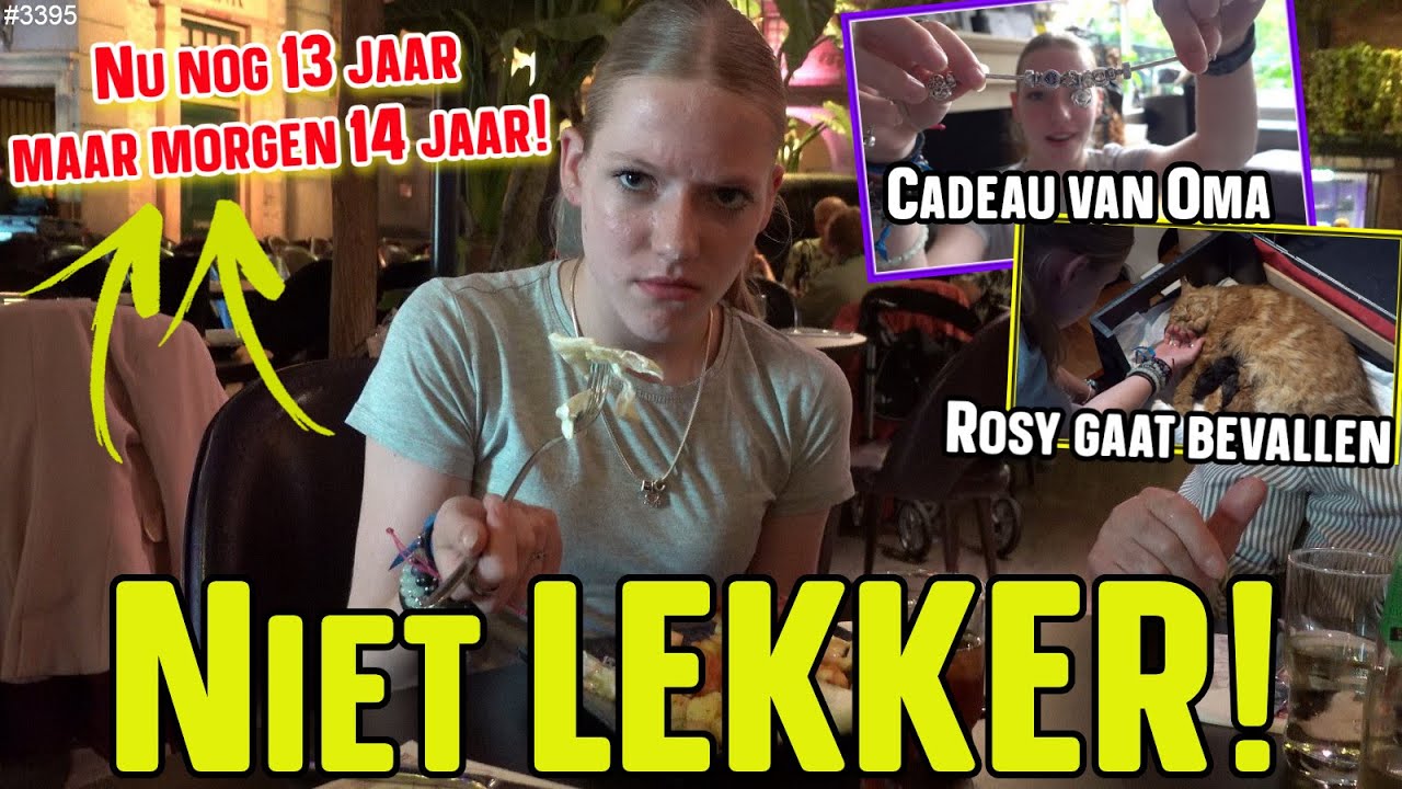 Naar LEIDEN met Opa en thuis is er een VERRASSING. Rosy de ZWANGERE POES...... Morgen JARIG #3395