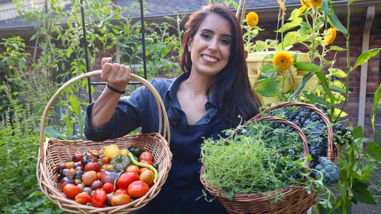 August Garden Tour | Tomato Harvest & Transitioning to Fall 