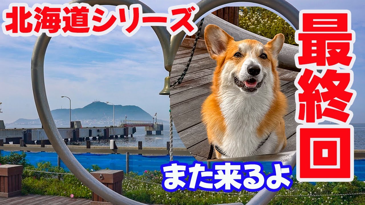 【犬連れ旅行_北海道ほぼ一周旅26】北海道シリーズ最終回！いよいよ北海道を離れます