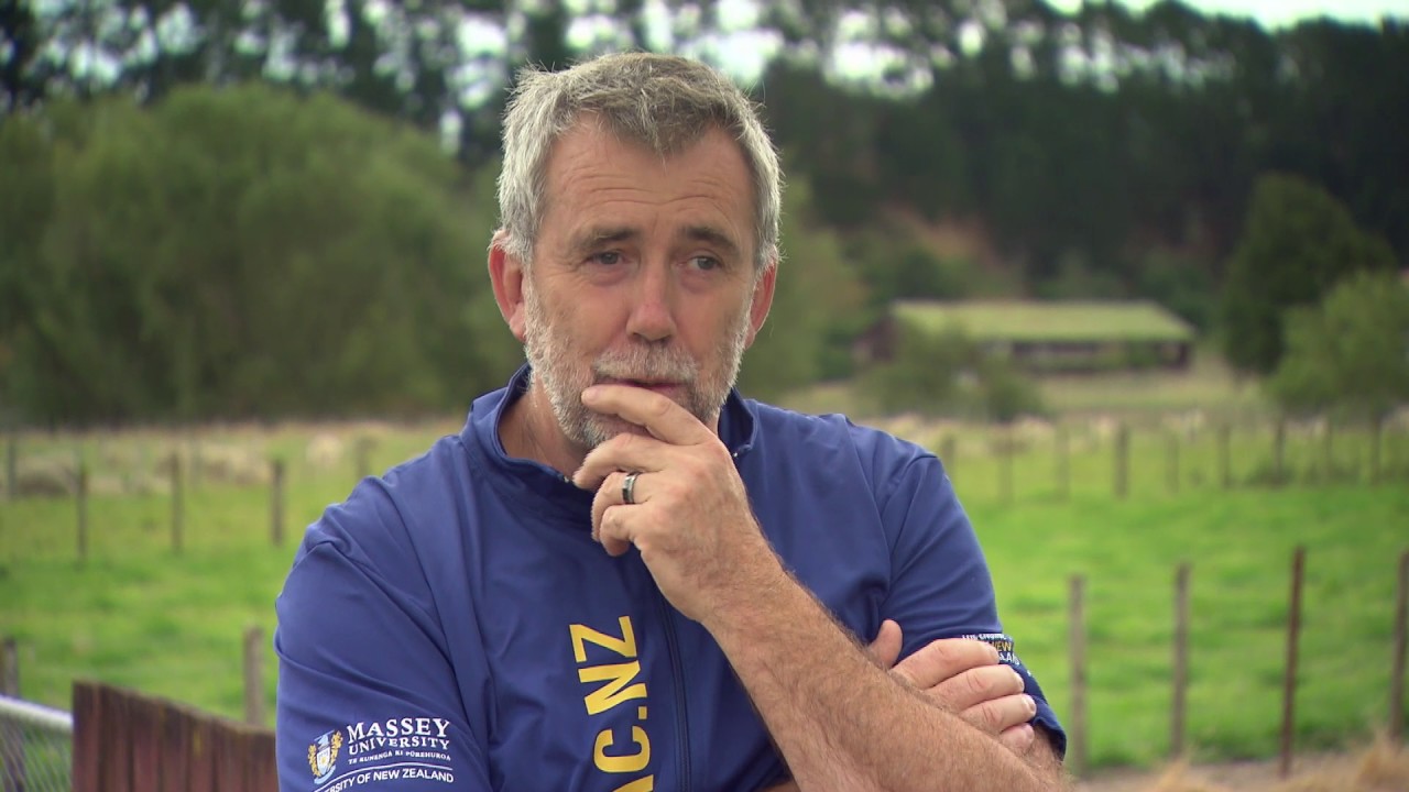 Sheep Dairy Industry's Potential