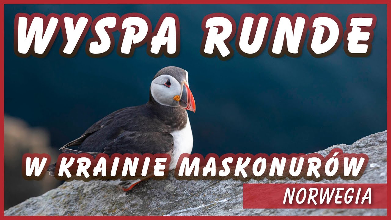 WYSPA RUNDE - w norweskiej krainie maskonurów | NORWEGIA
